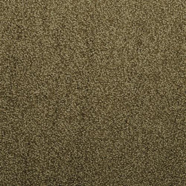 Morning Mist in Solo Carpet