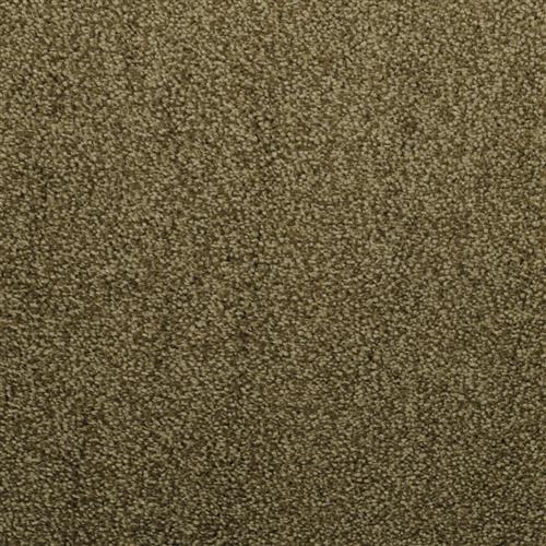 Morning Mist in Solo Carpet