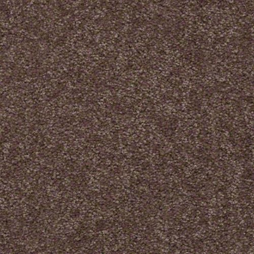 Winter Wheat