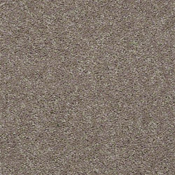 Taupe Mist