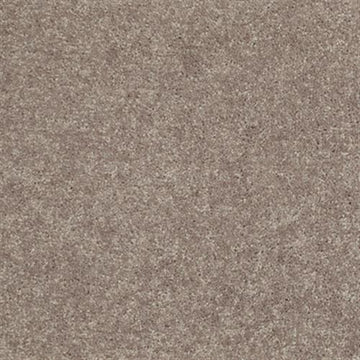 Taupe Mist