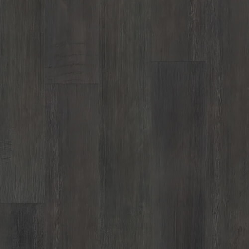 Vanguard Flex in Discovery Flex - Coal