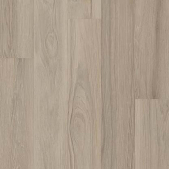 SILVA VALLEY 20 in Lookout Pass