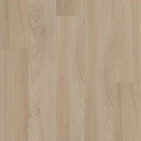 SILVA VALLEY 20 in White Sands