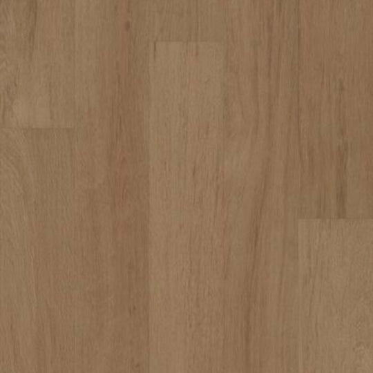 SILVA VALLEY 20 in Grand Arches