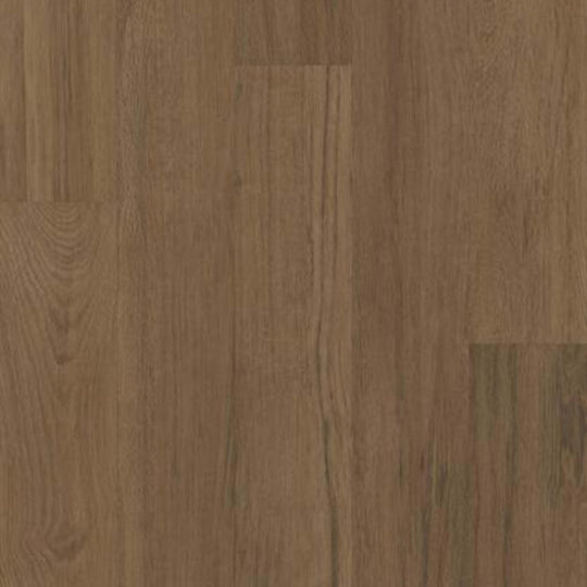 SILVA VALLEY 20 in Sedona