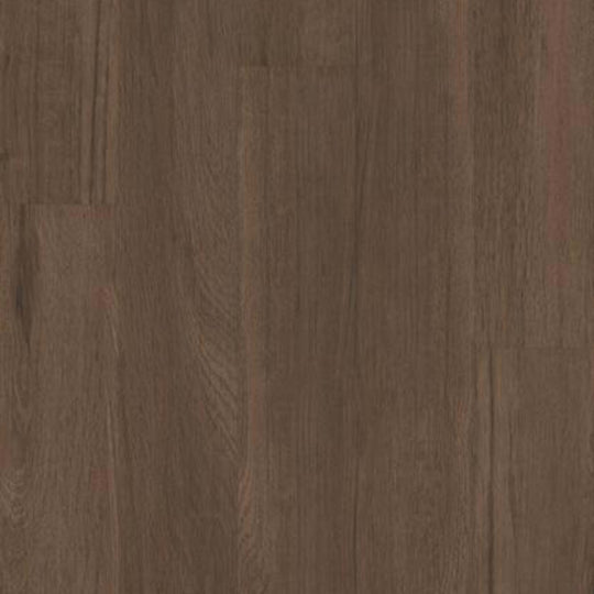 SILVA VALLEY 20 in Saguaro