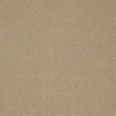 Sp659 in Canyon Dust Carpet