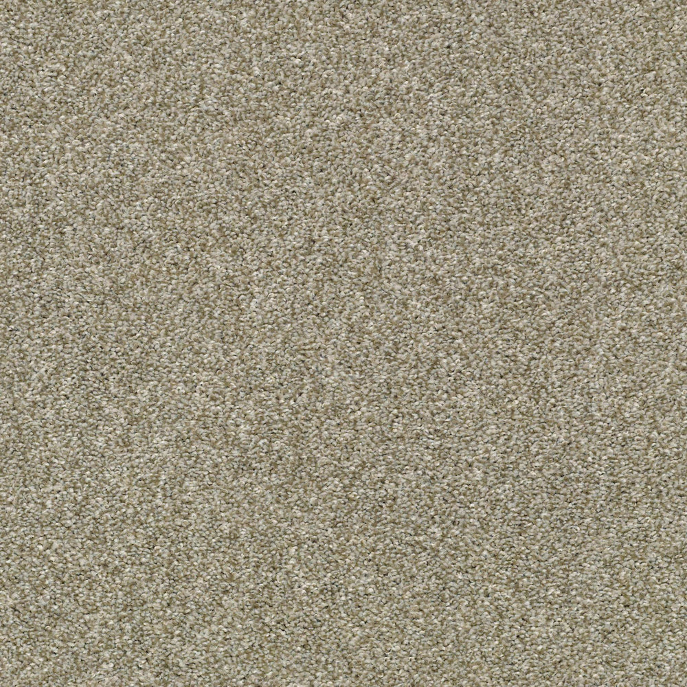 BAY SPRINGS in Bare Mineral Carpet