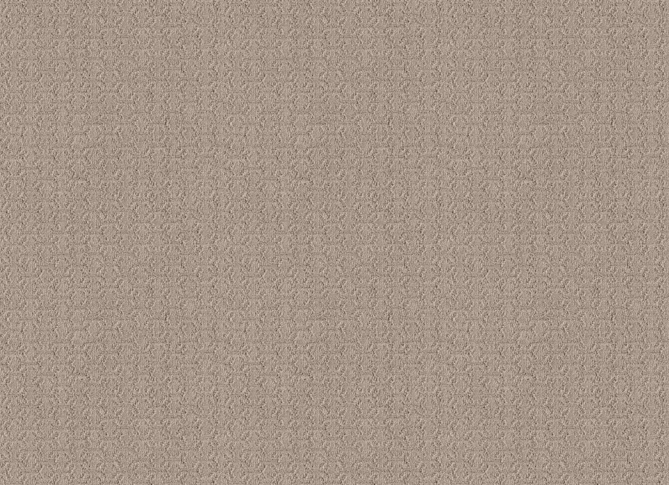 BRIGHTEN HEIGHTS in Shadow Carpet