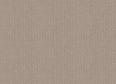 BRIGHTEN HEIGHTS in Shadow Carpet