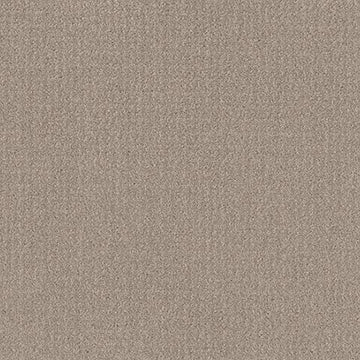 Sand Swept