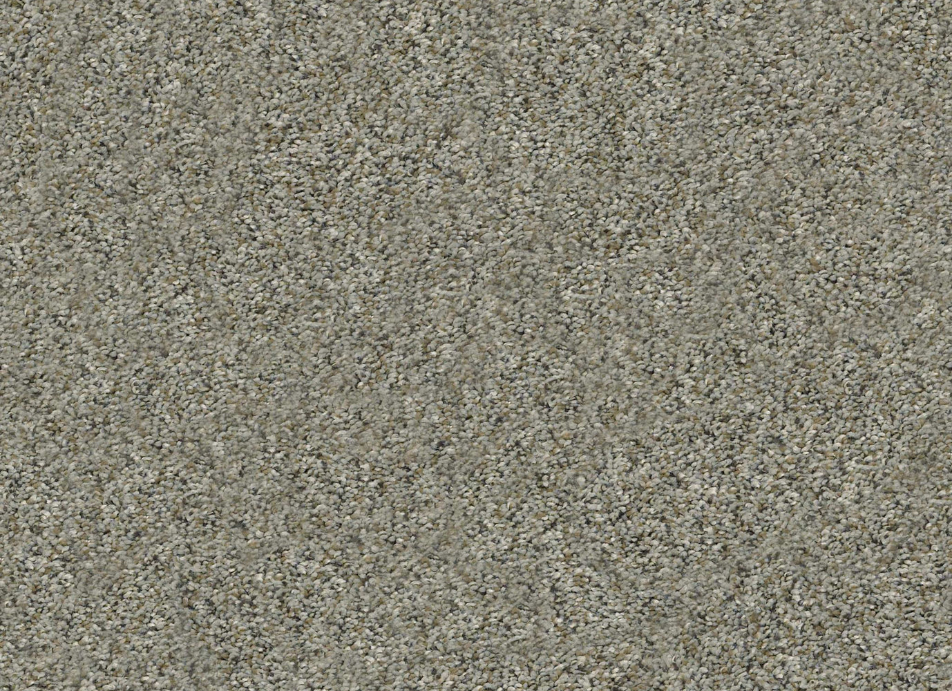 CARA CADE in Beach Walk Carpet