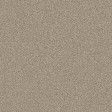 Smooth Taupe