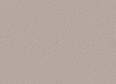 BOYER TRACE in Split Sediment Carpet