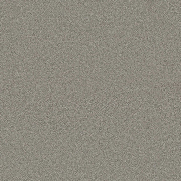 Grey Fox
