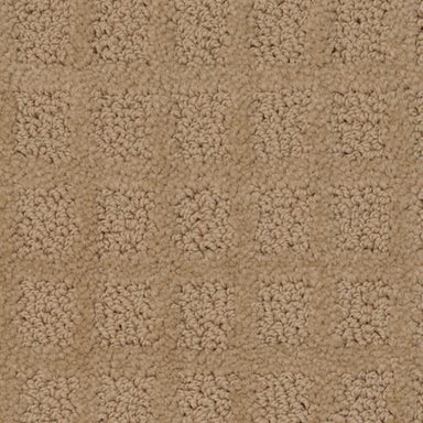 TRADITIONS in Cabot Trail Carpet