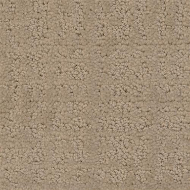 My Style in Shale Carpet
