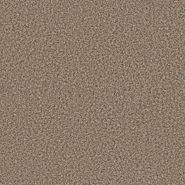 Suede Buff