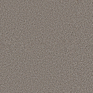 Fossil