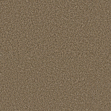 Desert