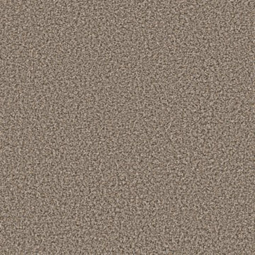 Toast