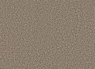 BREAK AWAY (B) in Toast Carpet