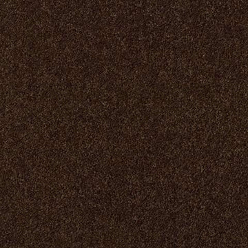 Coffee Bean