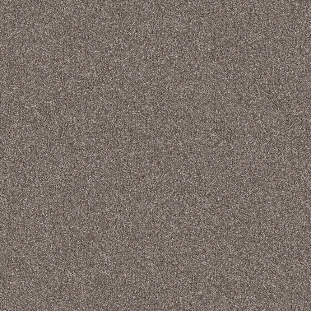 AFTER IT I in Tree House Carpet