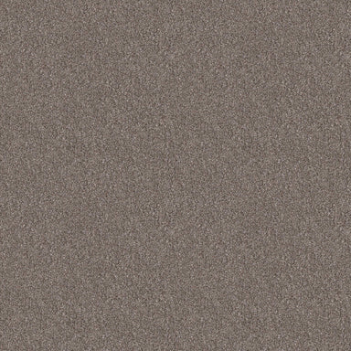 AFTER IT I in Tree House Carpet