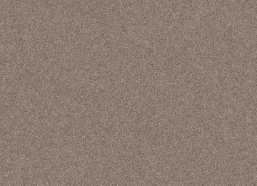 Neutral Ground