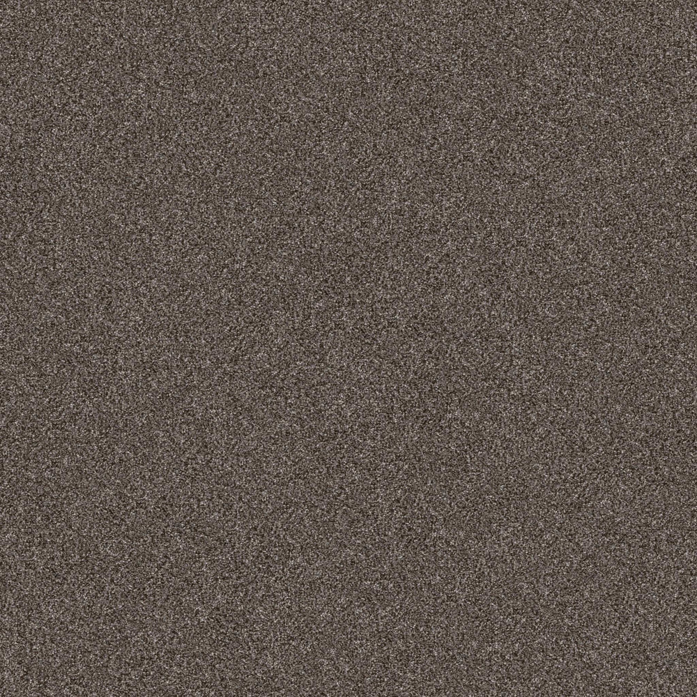 AFTER IT II in Anchor Carpet