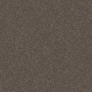 AFTER IT II in Anchor Carpet