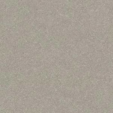 SOLIDIFY I 12' in Greige Carpet
