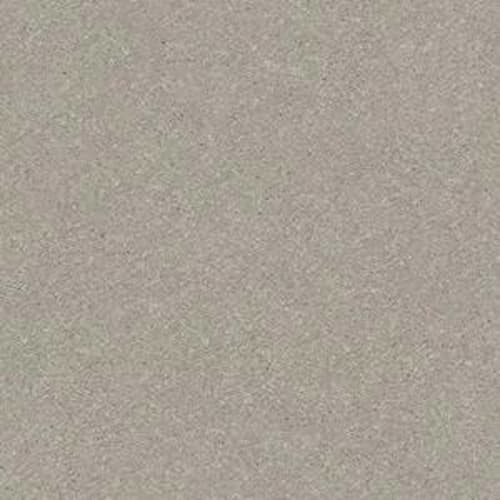 SOLIDIFY I 12' in Greige Carpet