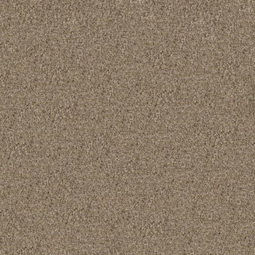 Blond Wood