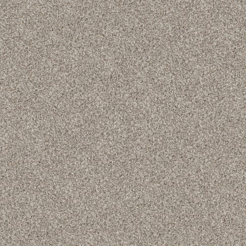 BREAK AWAY (T) NET in Natural Ivory Carpet
