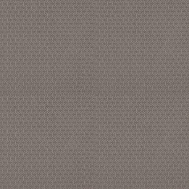 VALID in Rock Wall Carpet