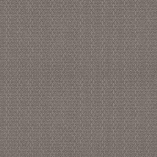 VALID in Rock Wall Carpet