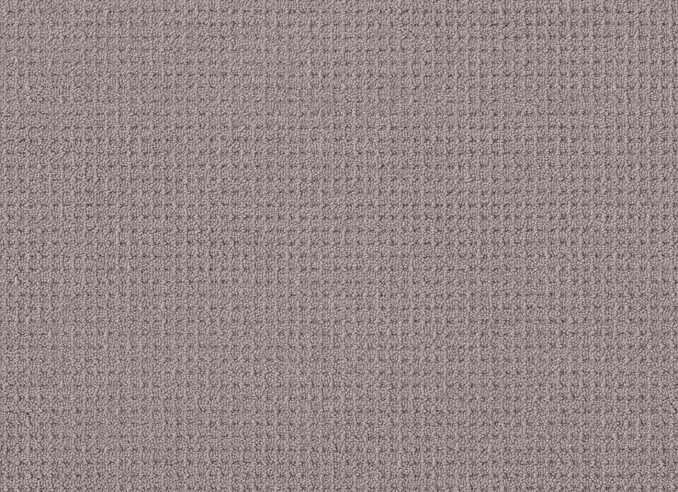 FAINT INTENT in Grey Fox Carpet