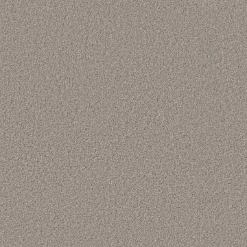 Tempting Taupe