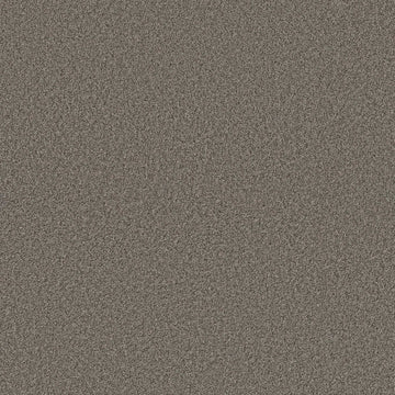 Weathered Siding
