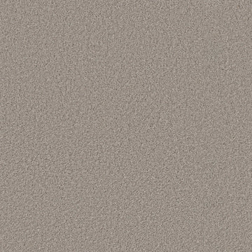 Tempting Taupe
