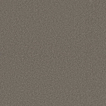 Weathered Siding