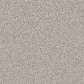 Brushed Aluminum
