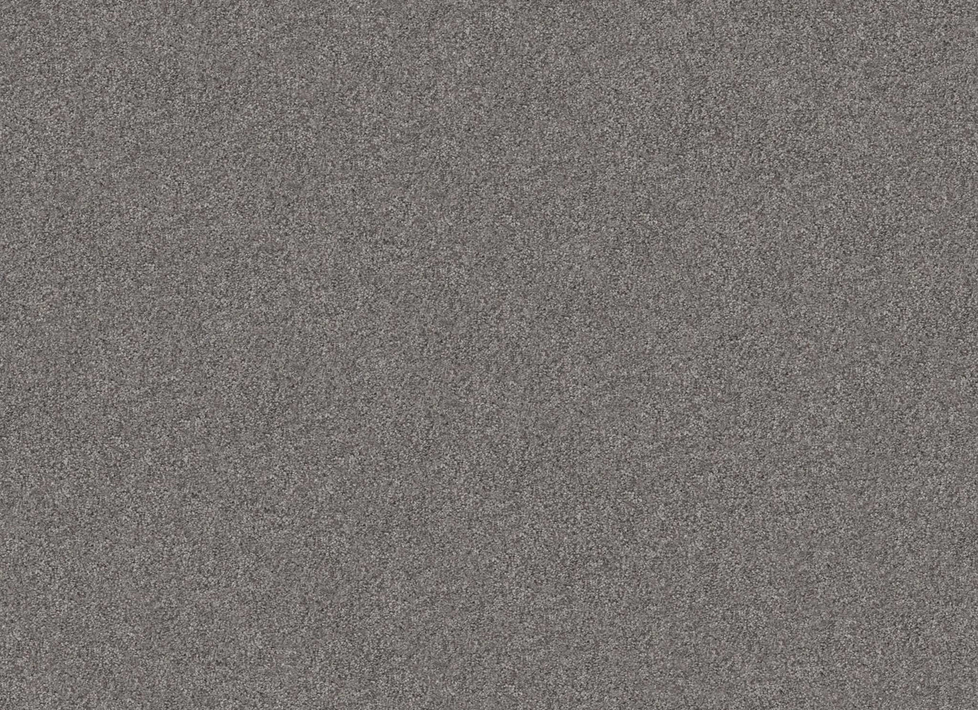 LIVE ON COMFORT in Metro Gray Carpet