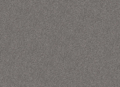 LIVE ON COMFORT in Metro Gray Carpet