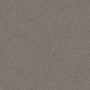 Century Taupe