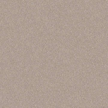 Warm Sand