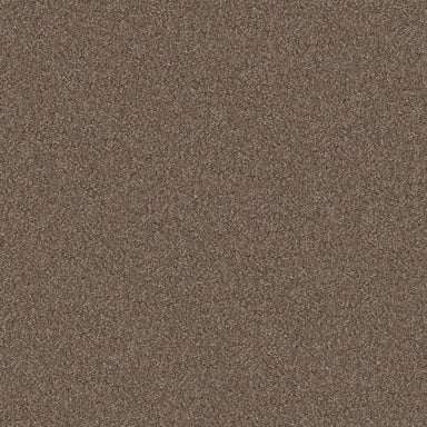 YES YOU CAN II 12' in Worn Path Carpet
